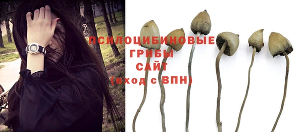 гашиш Алексеевка