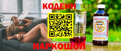 тгк Можга