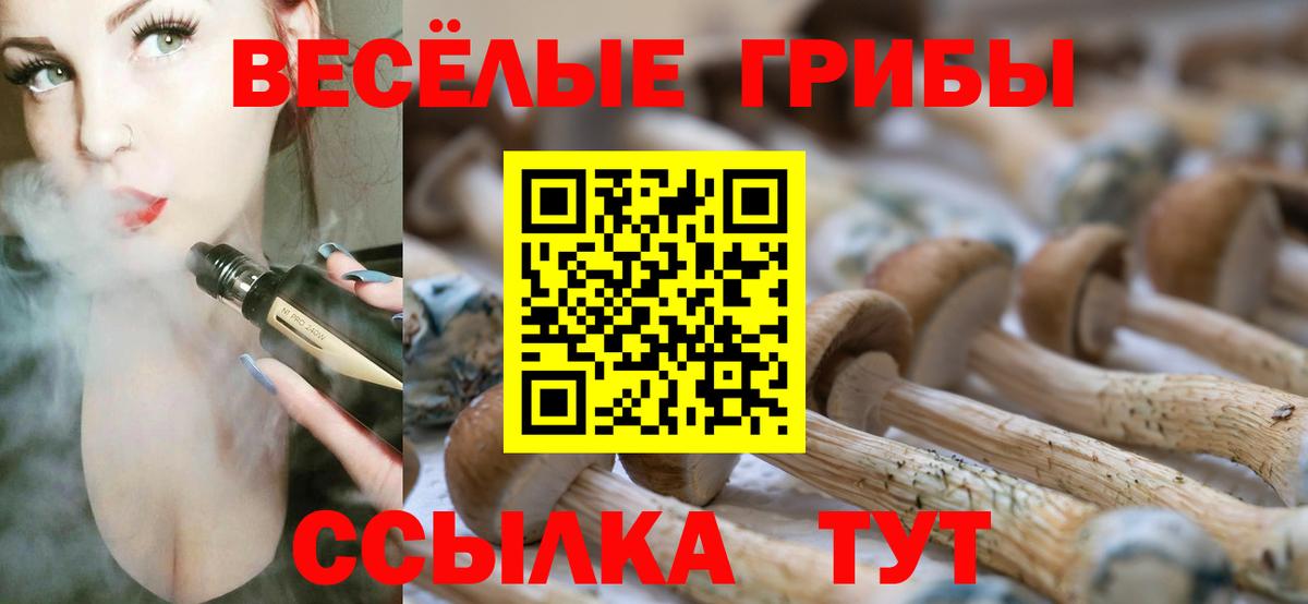 Подольск  купить наркотик  Псилоцибиновые грибы мухоморы  Вход с VPN  Галлюциногенные грибы Cubensis 
